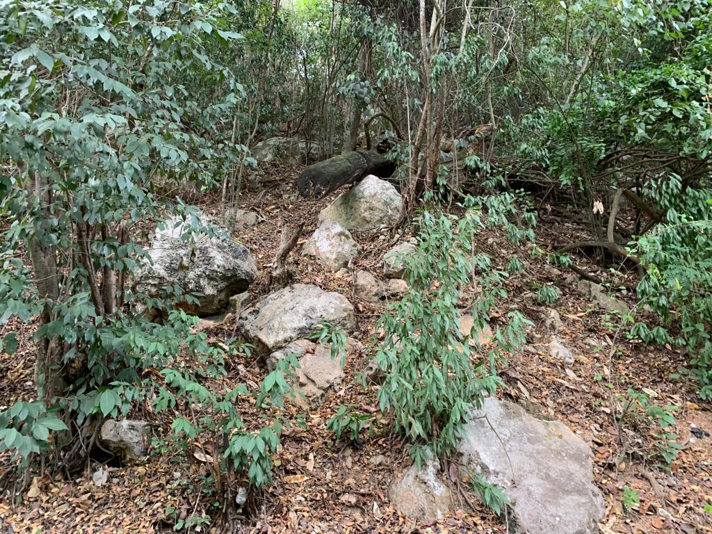 Second image of Rainbow Crescent in Kingston 8, St. Andrew, Jamaica - property is For Sale