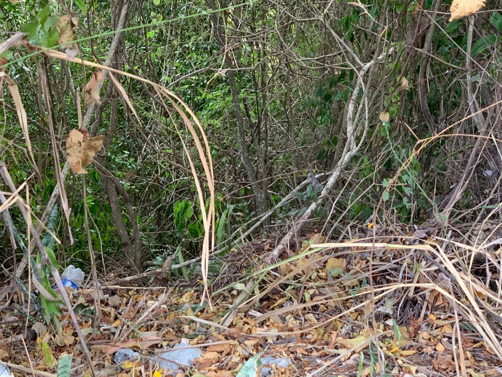 Eleventh image of Rainbow Crescent in Kingston 8, St. Andrew, Jamaica - property is For Sale