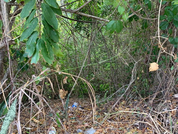 Twelfth image of Rainbow Crescent in Kingston 8, St. Andrew, Jamaica - property is For Sale