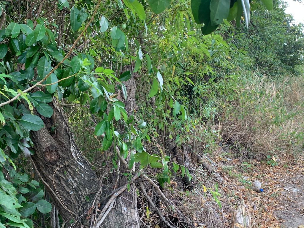 Thirteenth image of Rainbow Crescent in Kingston 8, St. Andrew, Jamaica - property is For Sale