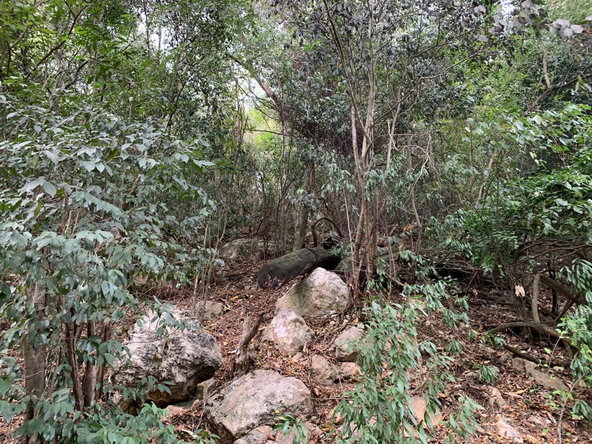 Third image of Rainbow Crescent in Kingston 8, St. Andrew, Jamaica - property is For Sale