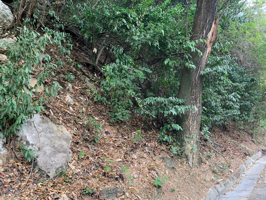 Fifth image of Rainbow Crescent in Kingston 8, St. Andrew, Jamaica - property is For Sale