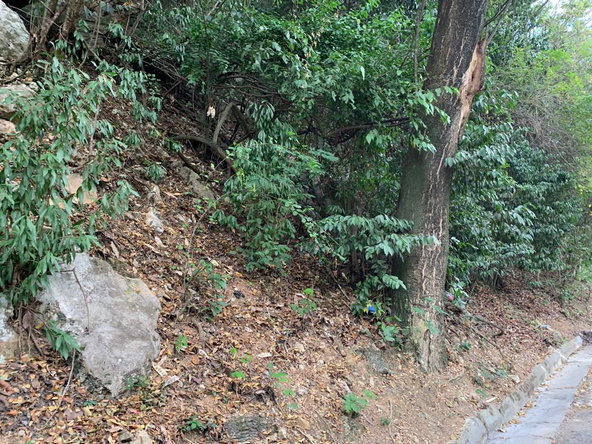 Fifth image of Rainbow Crescent in Kingston 8, St. Andrew, Jamaica - property is For Sale