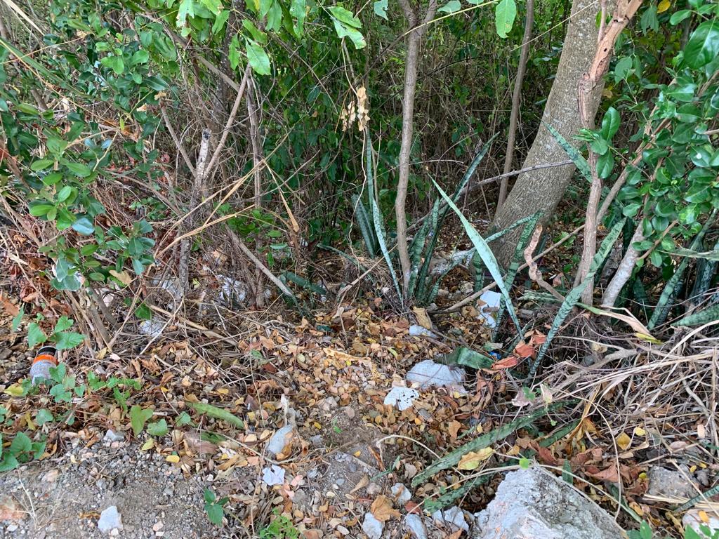 Sixth image of Rainbow Crescent in Kingston 8, St. Andrew, Jamaica - property is For Sale