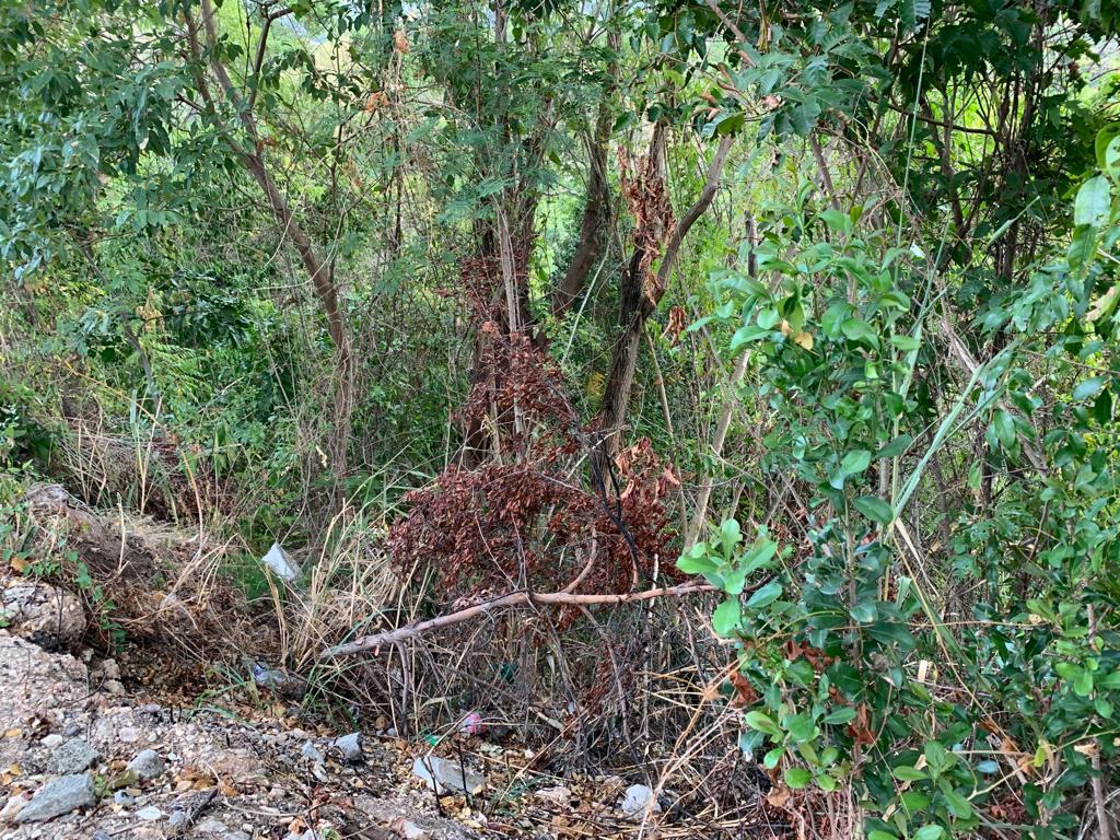 Seventh image of Rainbow Crescent in Kingston 8, St. Andrew, Jamaica - property is For Sale