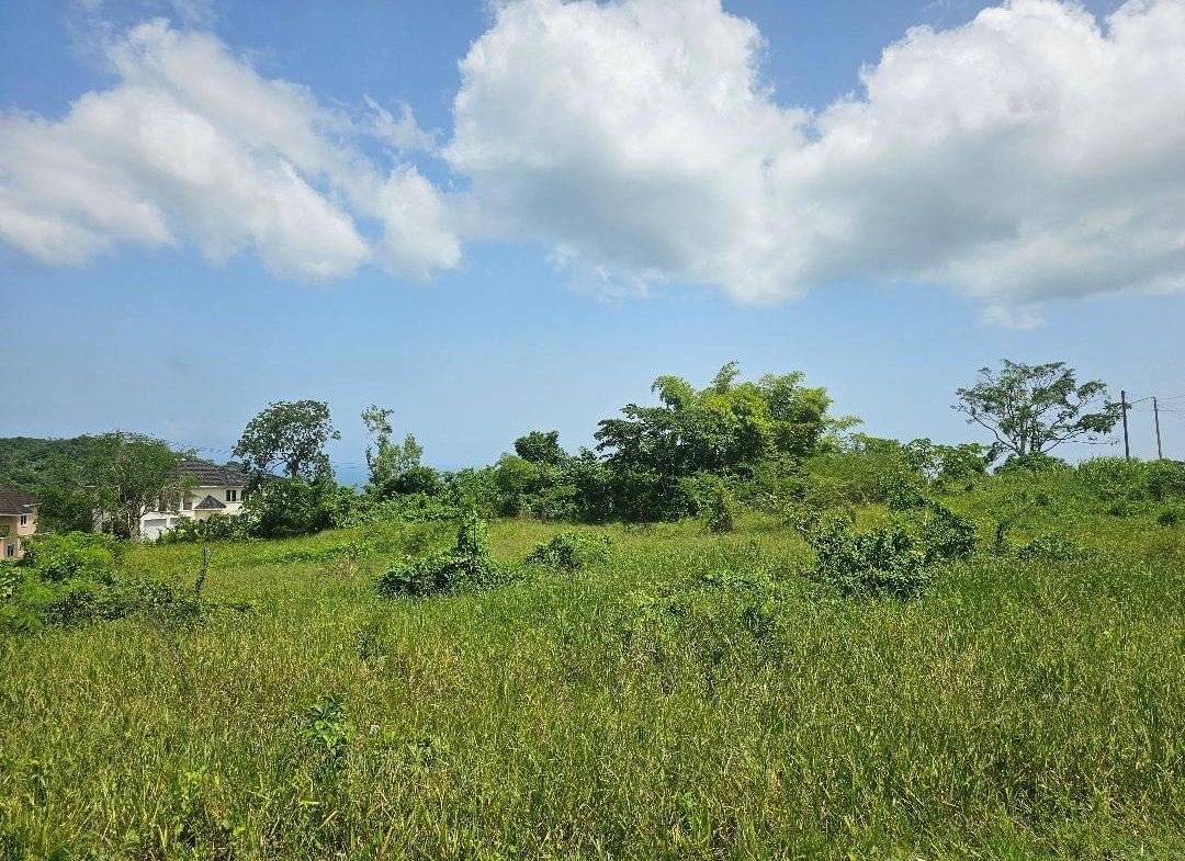 Seventh image of 51 Reading Heights, Montego in Montego Bay, St. James, Jamaica - property is For Sale