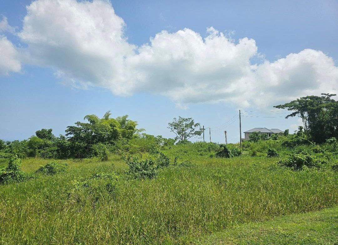 Tenth image of 51 Reading Heights, Montego in Montego Bay, St. James, Jamaica - property is For Sale