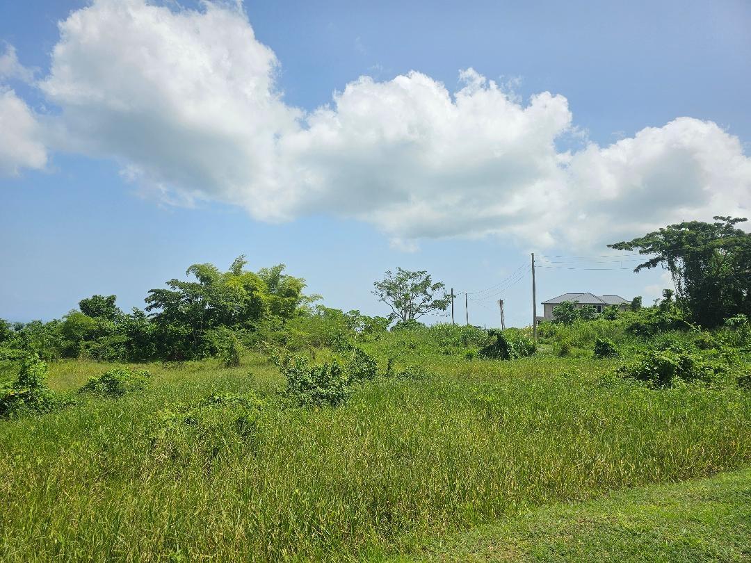 Tenth image of 51 Reading Heights, Montego in Montego Bay, St. James, Jamaica - property is For Sale