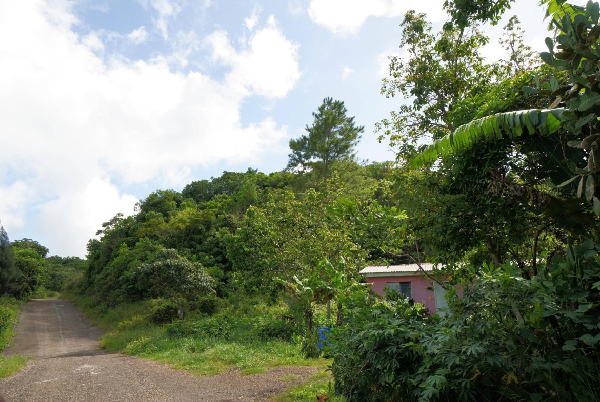 Eighth image of Red Bank in Hatfield, Manchester, Jamaica - property is For Sale