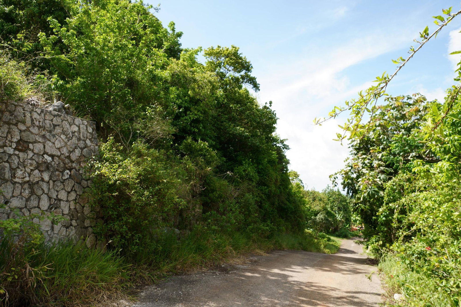 Tenth image of Red Bank in Hatfield, Manchester, Jamaica - property is For Sale