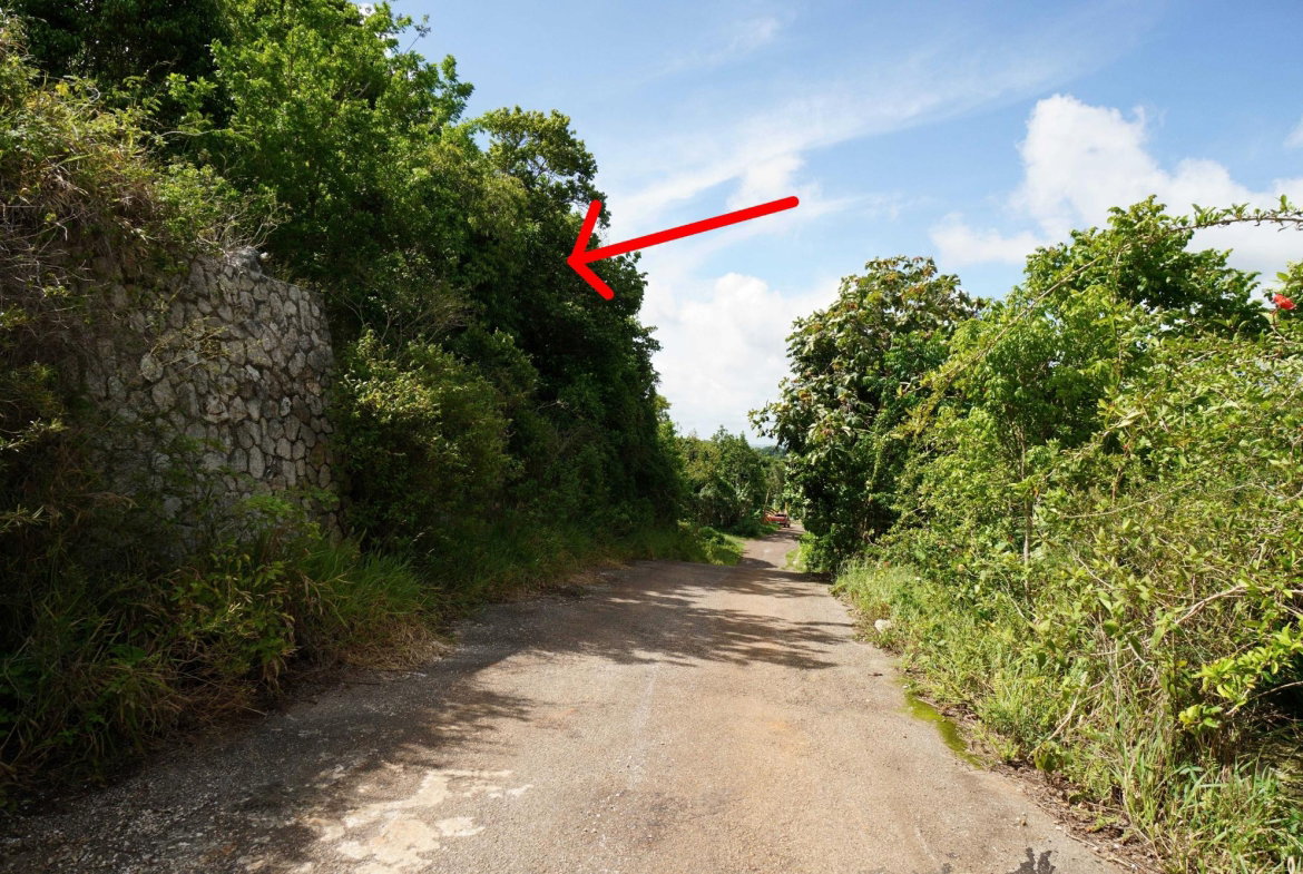 First image of Red Bank in Hatfield, Manchester, Jamaica - property is For Sale
