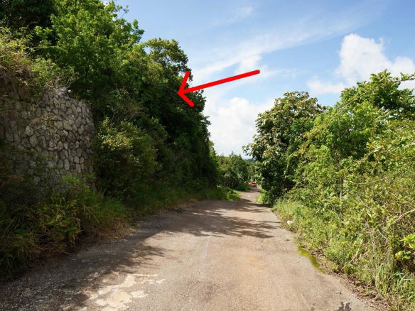 First image of Red Bank in Hatfield, Manchester, Jamaica - property is For Sale