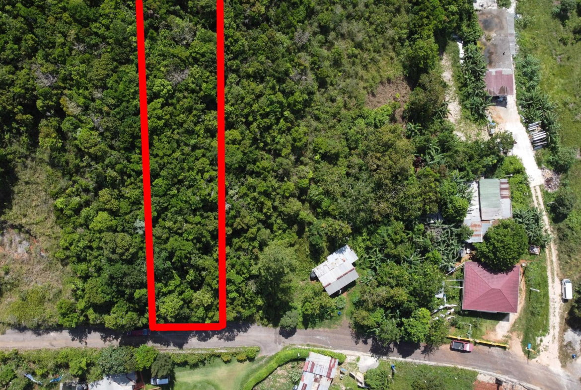 Second image of Red Bank in Hatfield, Manchester, Jamaica - property is For Sale