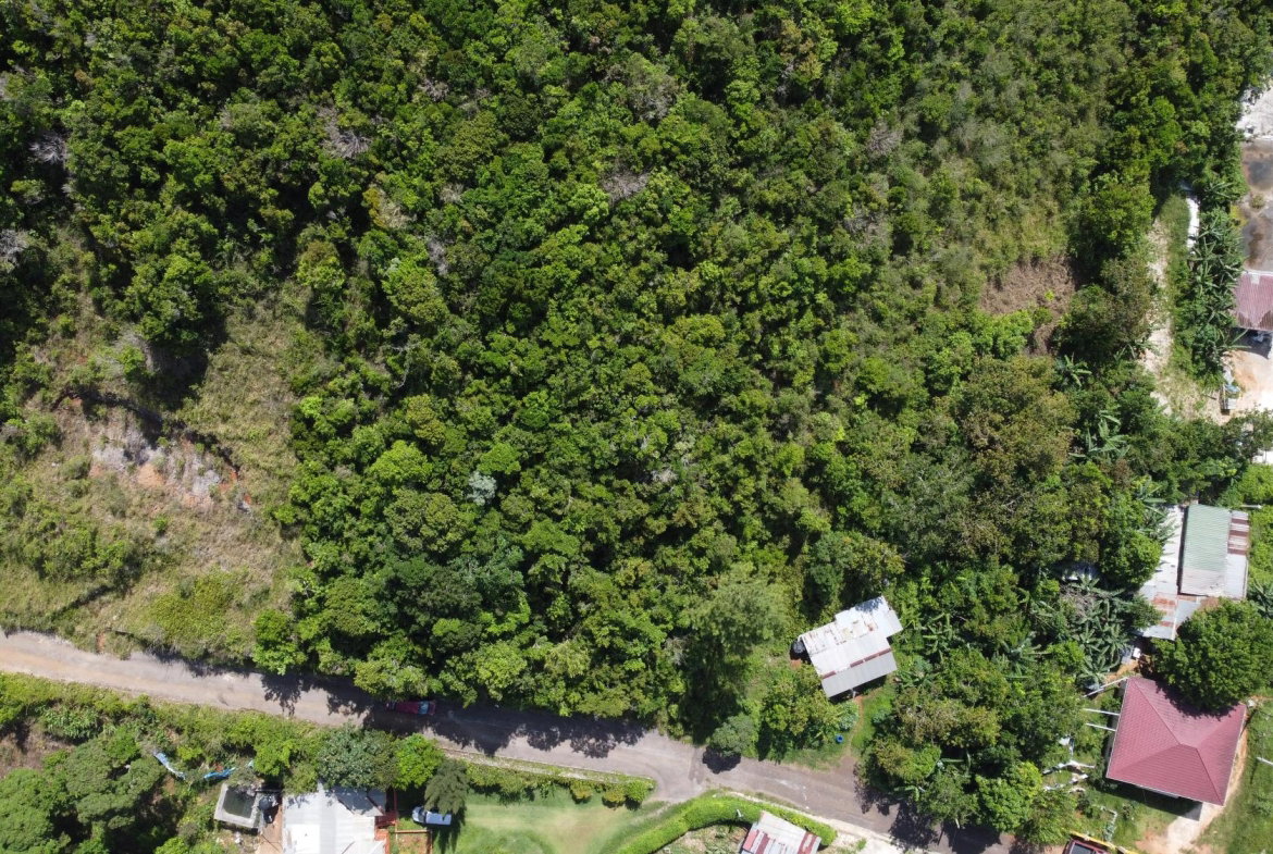 Fifth image of Red Bank in Hatfield, Manchester, Jamaica - property is For Sale