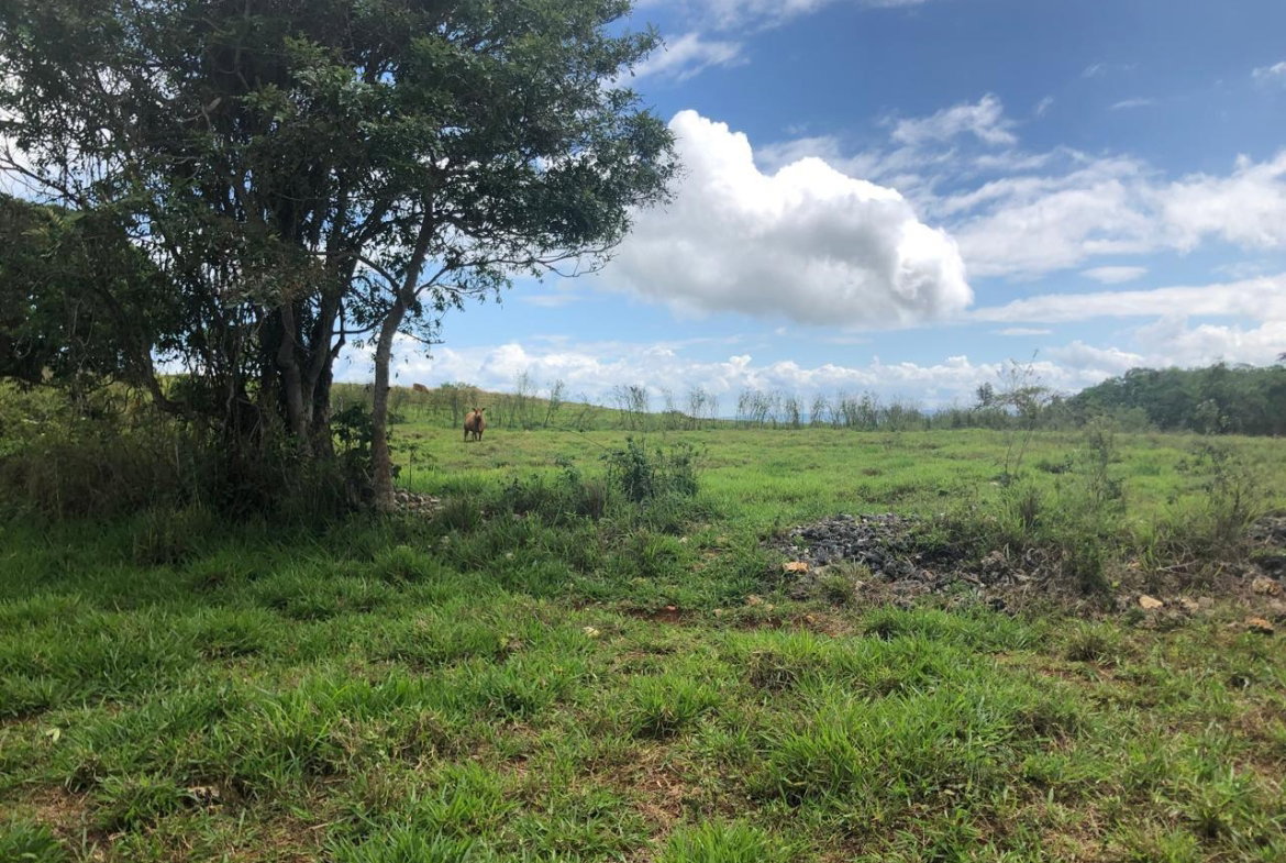 Second image of Lot 4- Retirement, Malvern , St. in Malvern, St. Elizabeth, Jamaica - property is For Sale