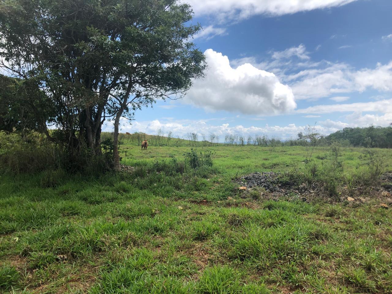 Second image of Lot 4- Retirement, Malvern , St. in Malvern, St. Elizabeth, Jamaica - property is For Sale