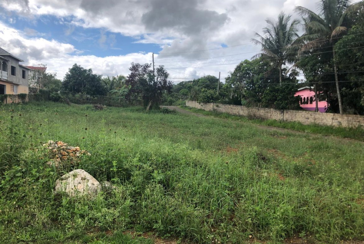 Eleventh image of Lot 4- Retirement, Malvern , St. in Malvern, St. Elizabeth, Jamaica - property is For Sale