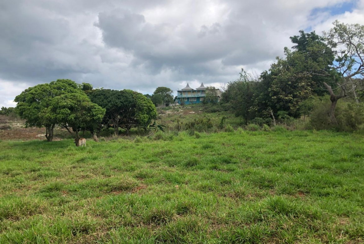 First image of Lot 4- Retirement, Malvern , St. in Malvern, St. Elizabeth, Jamaica - property is For Sale