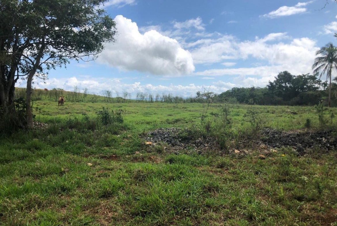 Third image of Lot 4- Retirement, Malvern , St. in Malvern, St. Elizabeth, Jamaica - property is For Sale