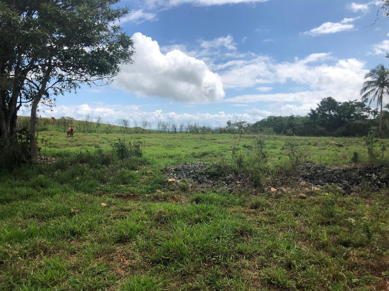 Third image of Lot 4- Retirement, Malvern , St. in Malvern, St. Elizabeth, Jamaica - property is For Sale