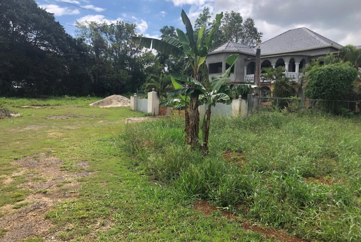 Fourth image of Lot 4- Retirement, Malvern , St. in Malvern, St. Elizabeth, Jamaica - property is For Sale
