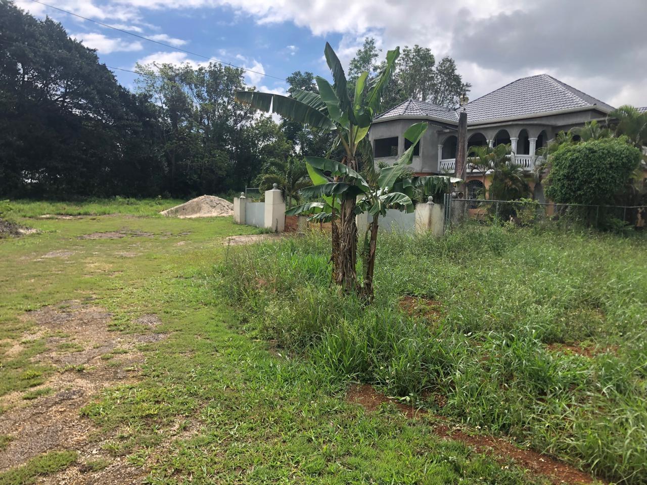 Fourth image of Lot 4- Retirement, Malvern , St. in Malvern, St. Elizabeth, Jamaica - property is For Sale