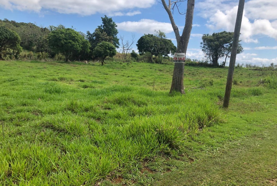 Sixth image of Lot 4- Retirement, Malvern , St. in Malvern, St. Elizabeth, Jamaica - property is For Sale