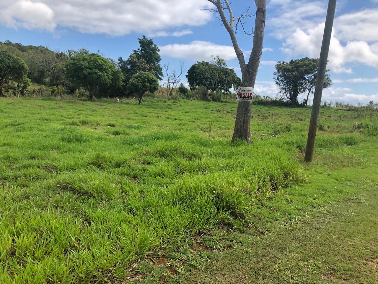 Sixth image of Lot 4- Retirement, Malvern , St. in Malvern, St. Elizabeth, Jamaica - property is For Sale