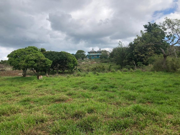 First image of Lot 4- Retirement, Malvern , St. in Malvern, St. Elizabeth, Jamaica - property is For Sale