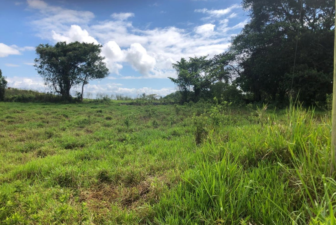 Seventh image of Lot 4- Retirement, Malvern , St. in Malvern, St. Elizabeth, Jamaica - property is For Sale