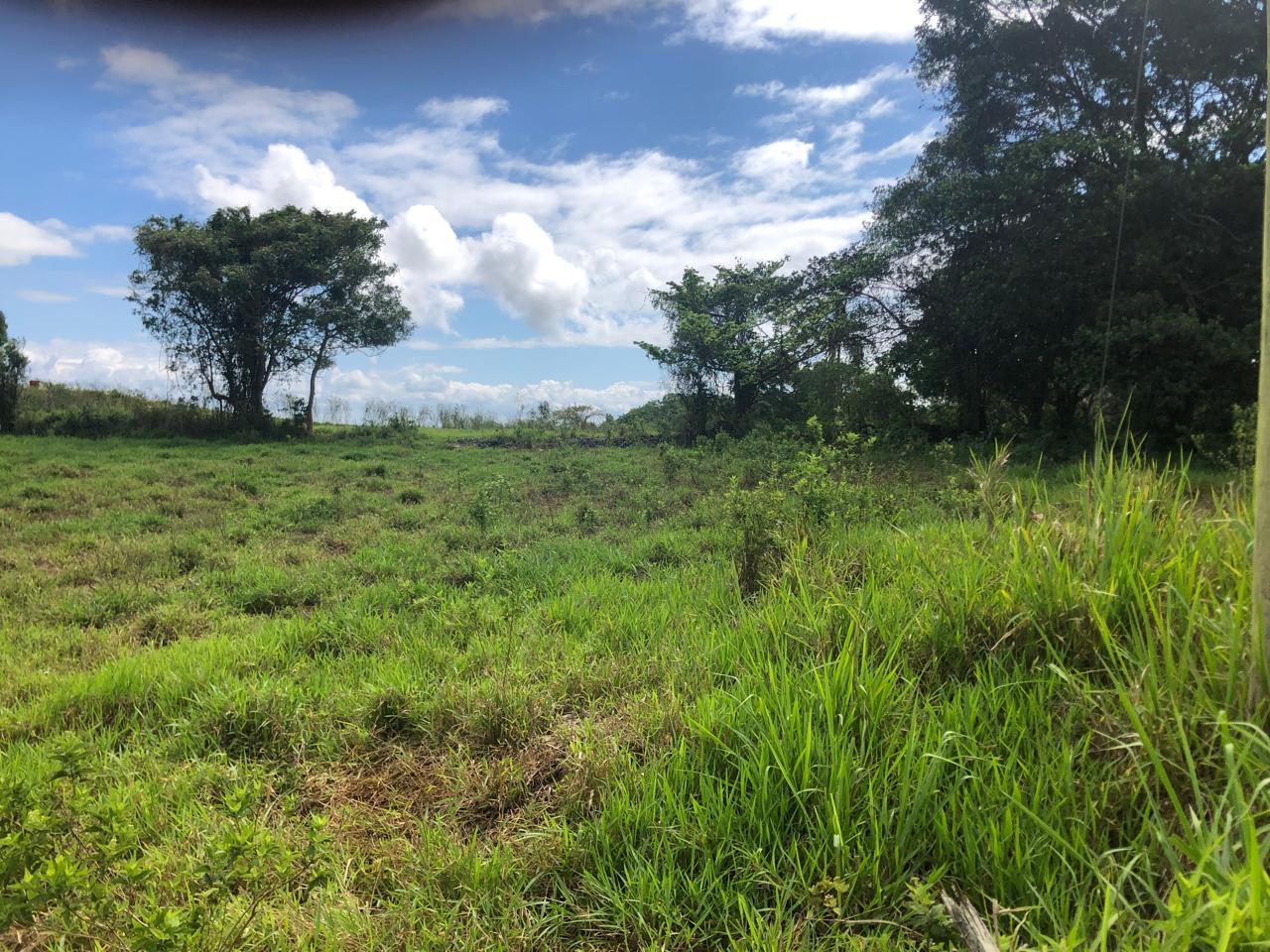 Seventh image of Lot 4- Retirement, Malvern , St. in Malvern, St. Elizabeth, Jamaica - property is For Sale