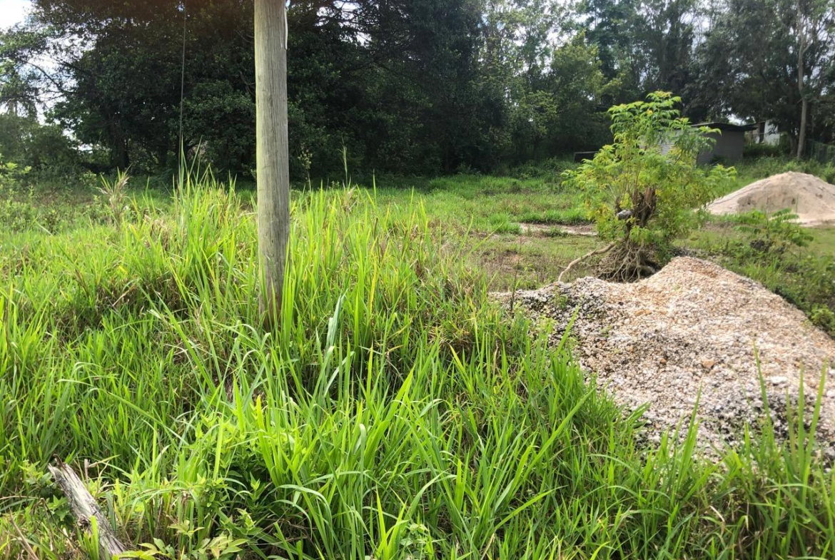 Eighth image of Lot 4- Retirement, Malvern , St. in Malvern, St. Elizabeth, Jamaica - property is For Sale
