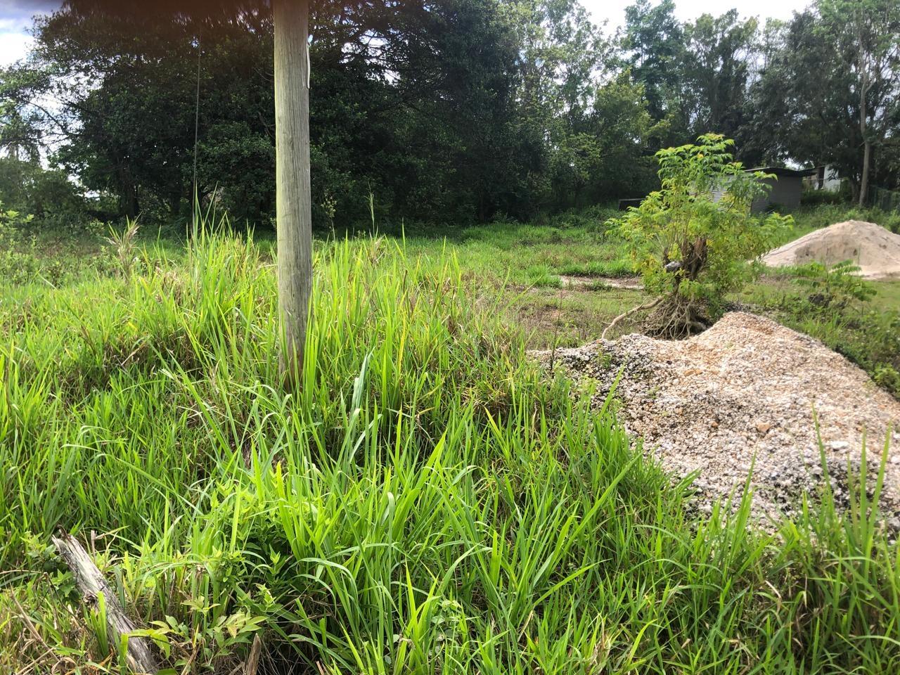 Eighth image of Lot 4- Retirement, Malvern , St. in Malvern, St. Elizabeth, Jamaica - property is For Sale