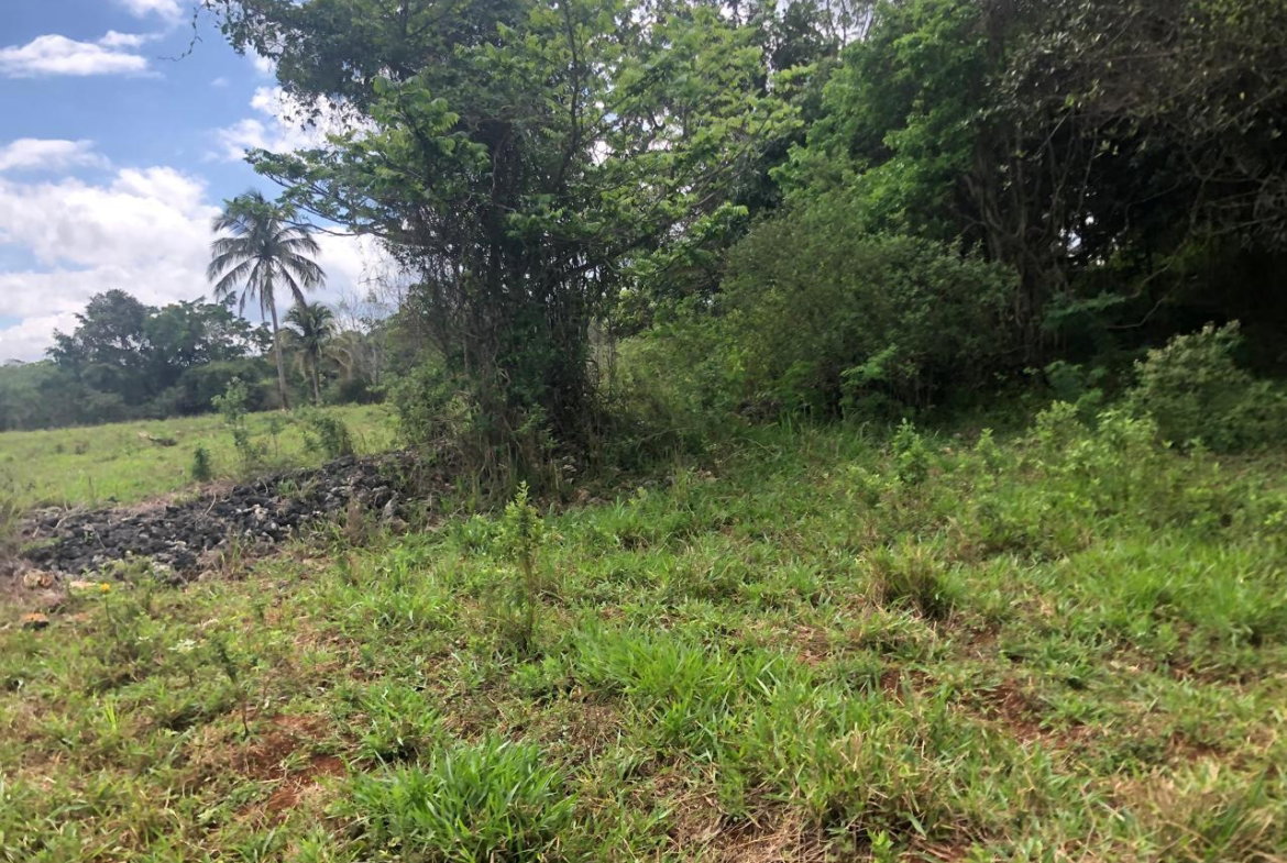Ninth image of Lot 4- Retirement, Malvern , St. in Malvern, St. Elizabeth, Jamaica - property is For Sale