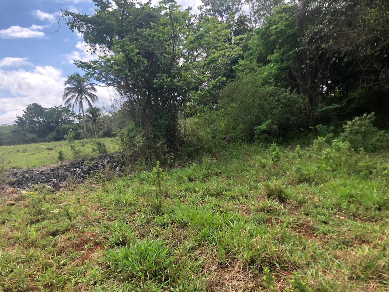 Ninth image of Lot 4- Retirement, Malvern , St. in Malvern, St. Elizabeth, Jamaica - property is For Sale