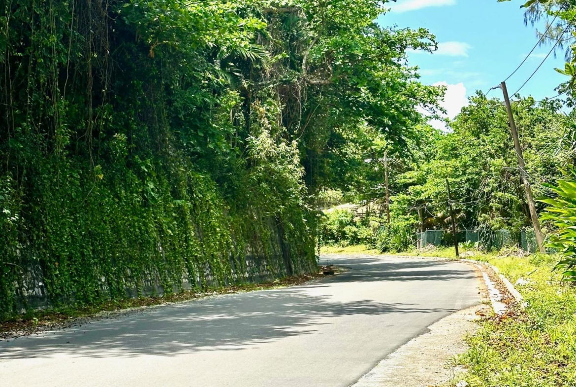 Third image of 11 San San Estate, Port Anto in SAN SAN, Portland, Jamaica - property is For Sale