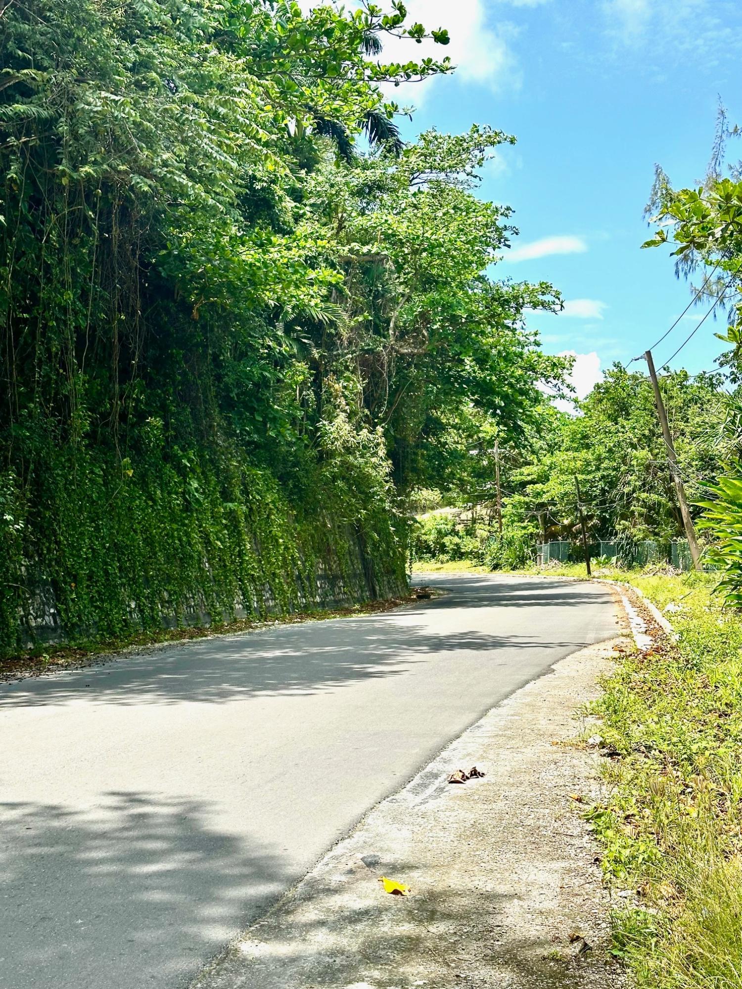 Prime-Residential-Lot-for-Sale-in-San-San-Estate-Port-Antonio Third image of 11 San San Estate, Port Anto in SAN SAN, Portland, Jamaica - property is For Sale