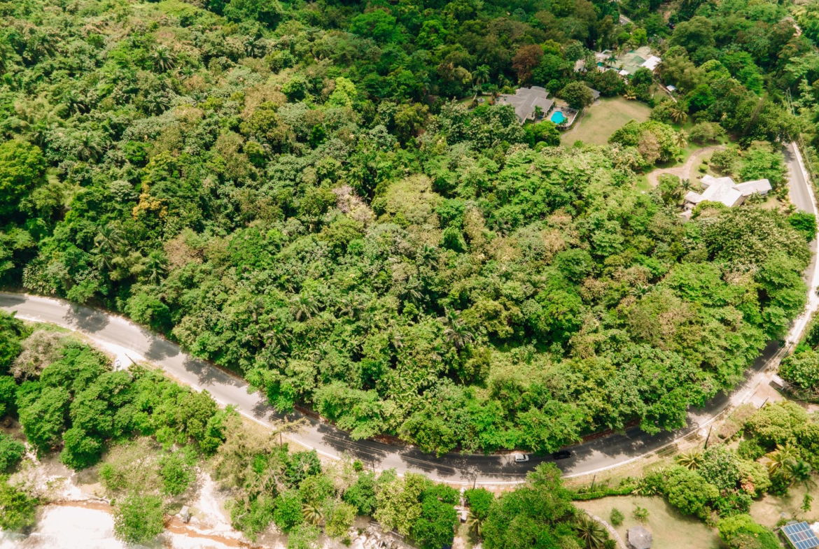 Tenth image of 11 San San Estate, Port Anto in SAN SAN, Portland, Jamaica - property is For Sale