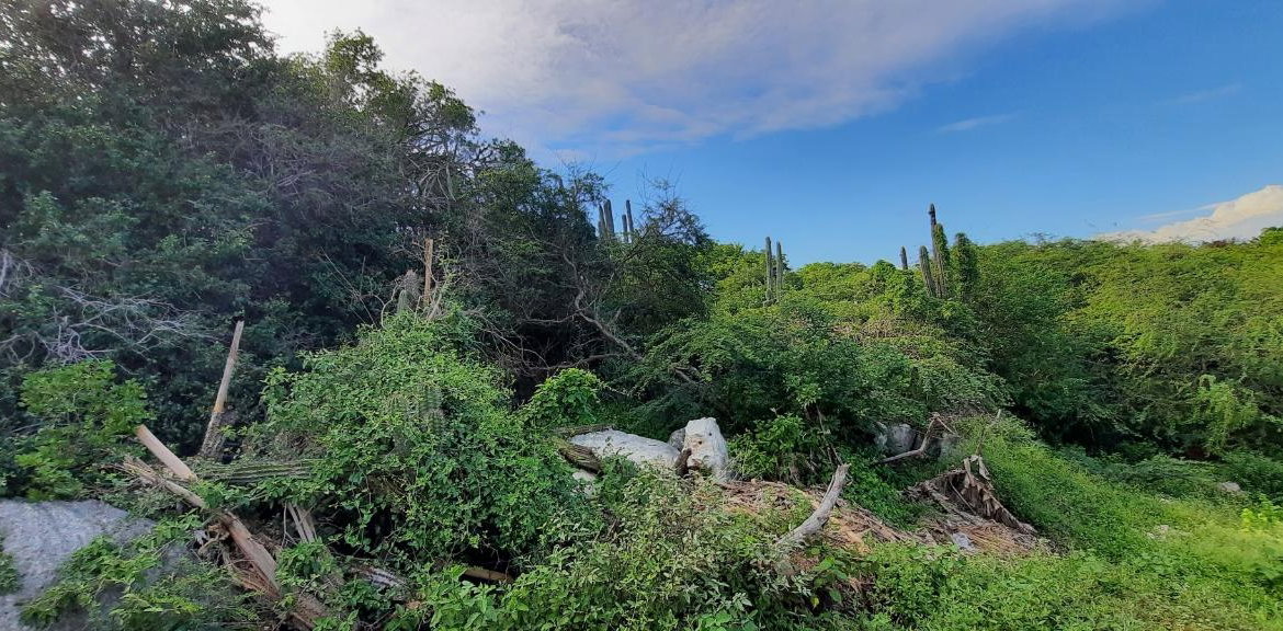 Eleventh image of Lot 174-seafort Great Pond Close in Fort Clarence, St. Catherine, Jamaica - property is For Sale