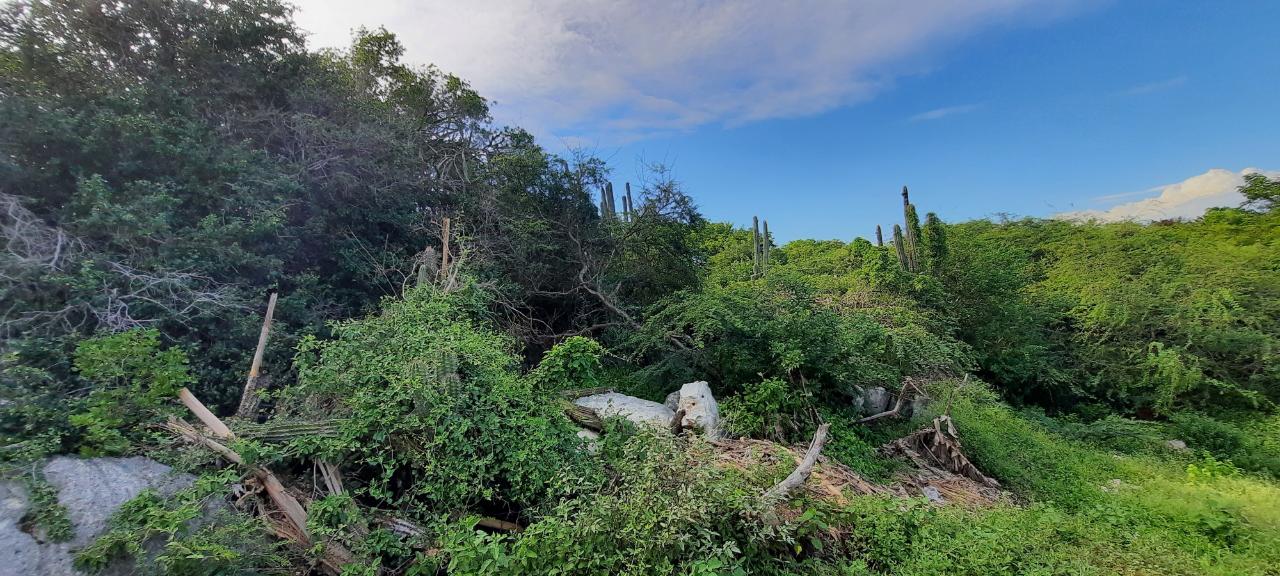 Eleventh image of Lot 174-seafort Great Pond Close in Fort Clarence, St. Catherine, Jamaica - property is For Sale