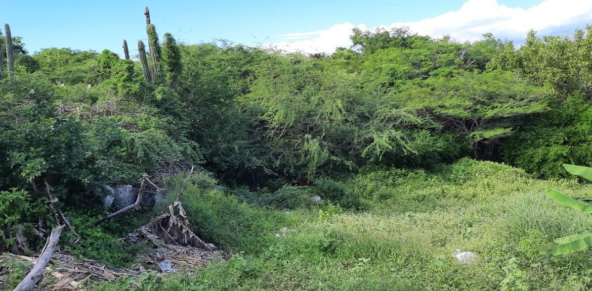 Twelfth image of Lot 174-seafort Great Pond Close in Fort Clarence, St. Catherine, Jamaica - property is For Sale