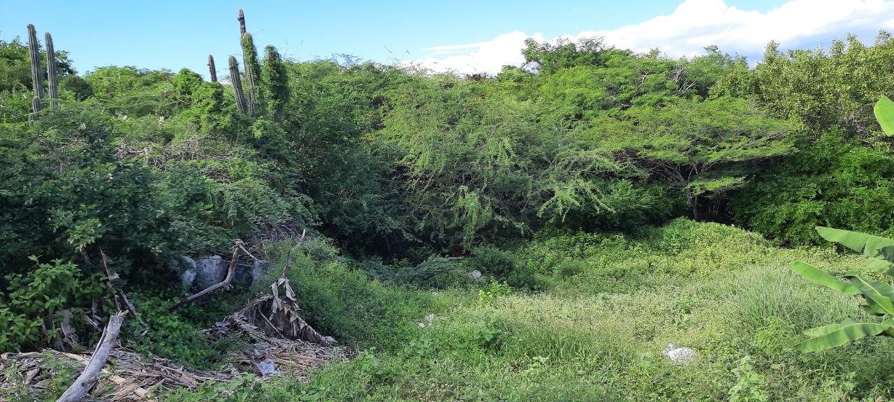 Twelfth image of Lot 174-seafort Great Pond Close in Fort Clarence, St. Catherine, Jamaica - property is For Sale