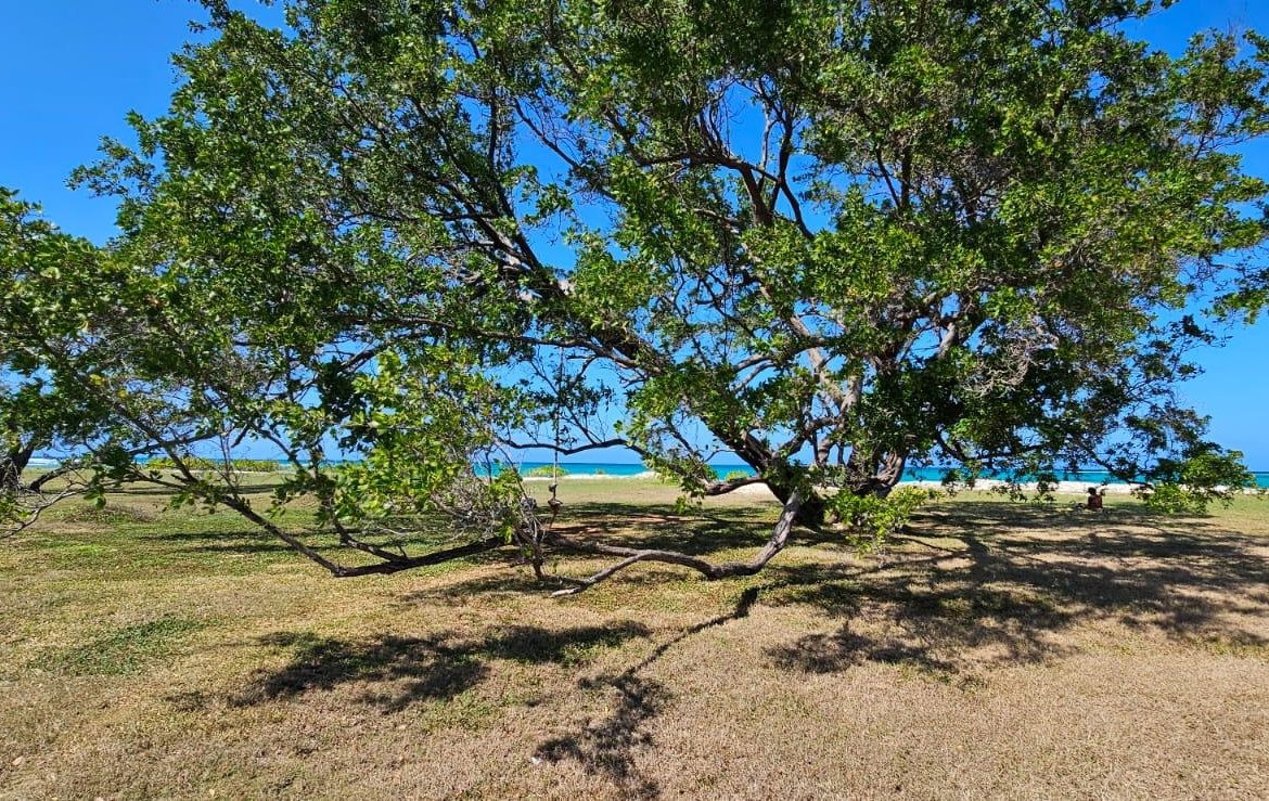 Eighth image of Silver Sands, Duncan Bay, in DUNCAN BAY, Trelawny, Jamaica - property is For Sale
