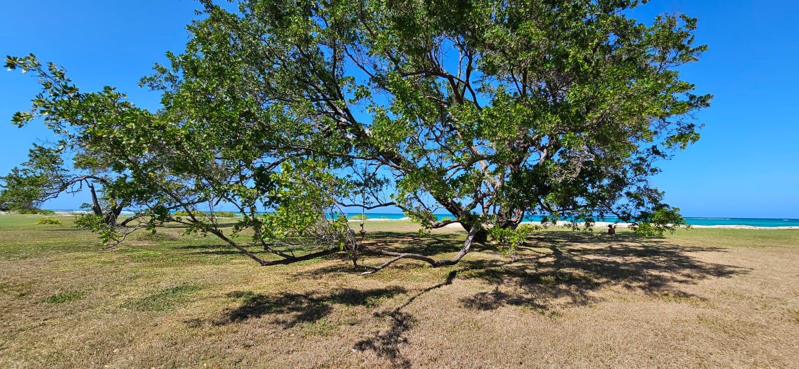 Eighth image of Silver Sands, Duncan Bay, in DUNCAN BAY, Trelawny, Jamaica - property is For Sale