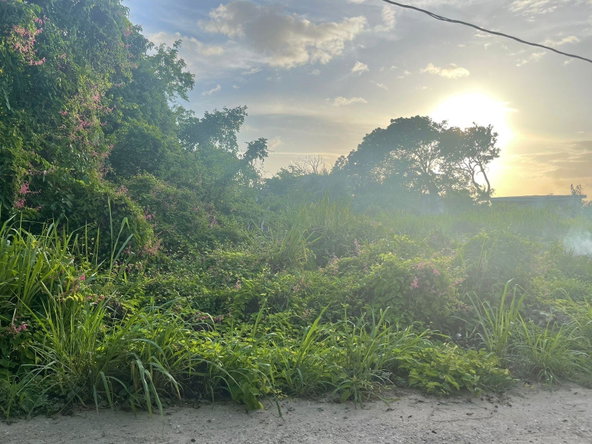 Fifth image of 55 Winston Brown Blvd, Silve in DUNCAN BAY, Trelawny, Jamaica - property is For Sale