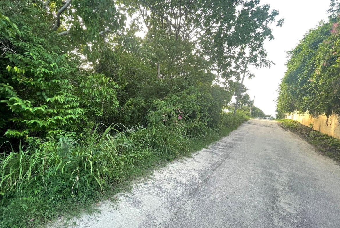 Sixth image of 55 Winston Brown Blvd, Silve in DUNCAN BAY, Trelawny, Jamaica - property is For Sale