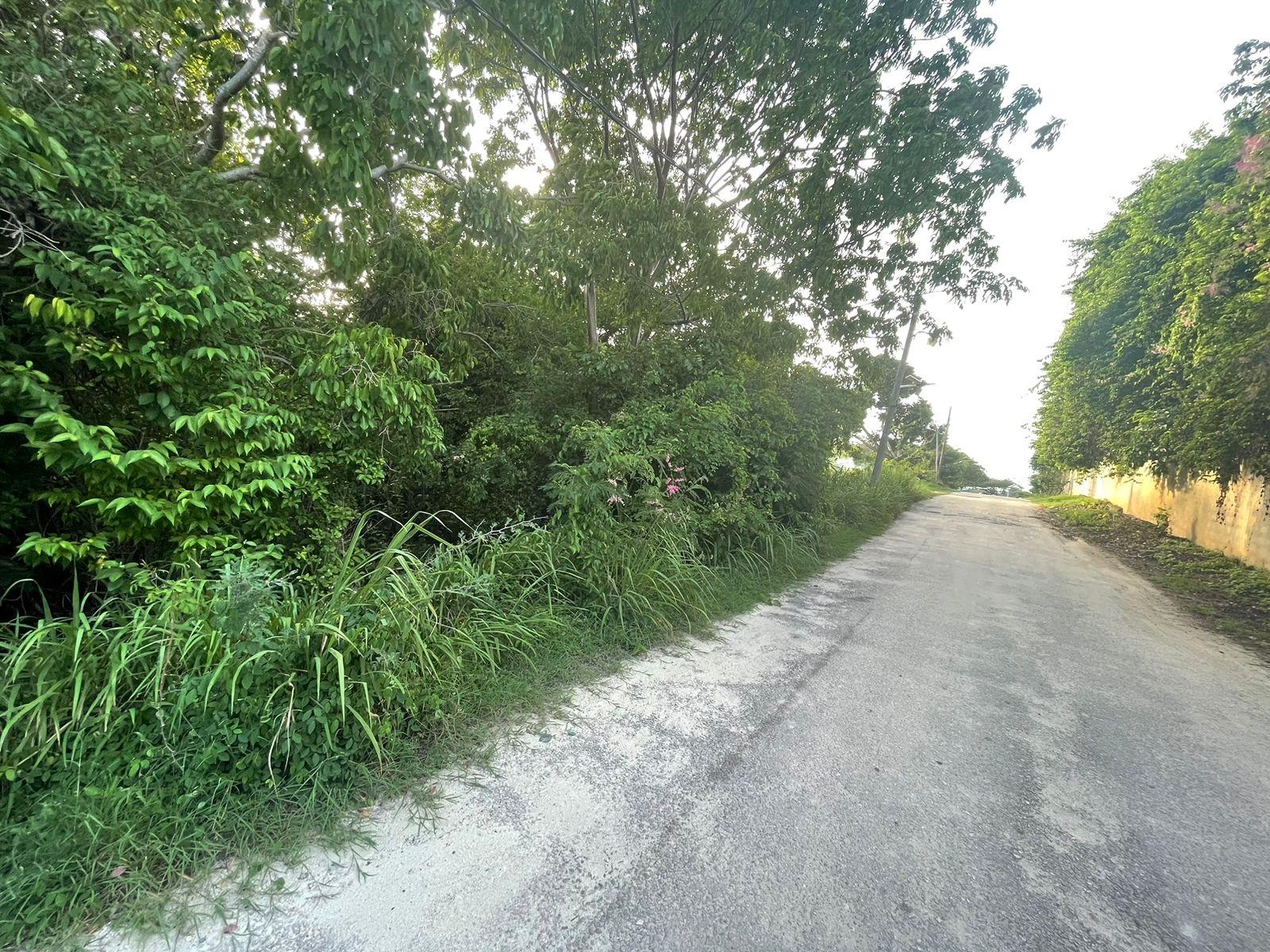Prime-Residential-Lot-for-Sale-in-Silver-Sands-Jamaica Sixth image of 55 Winston Brown Blvd, Silve in DUNCAN BAY, Trelawny, Jamaica - property is For Sale