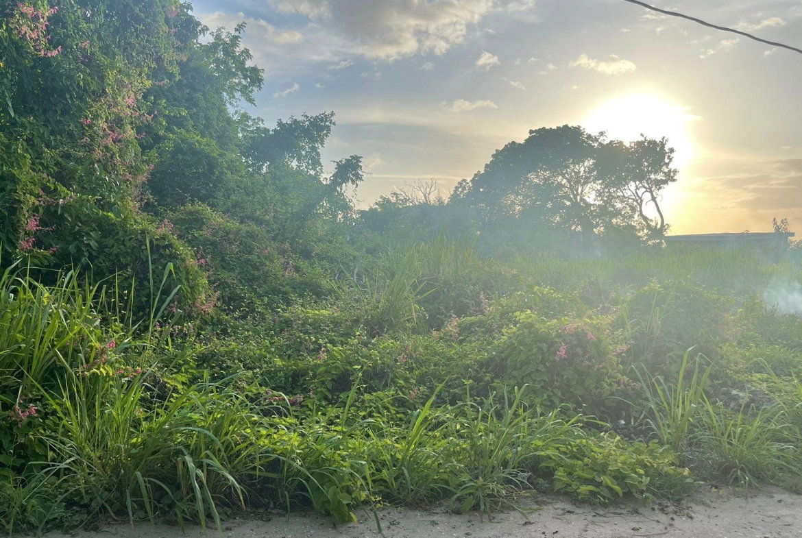 Eighth image of 55 Winston Brown Blvd, Silve in DUNCAN BAY, Trelawny, Jamaica - property is For Sale