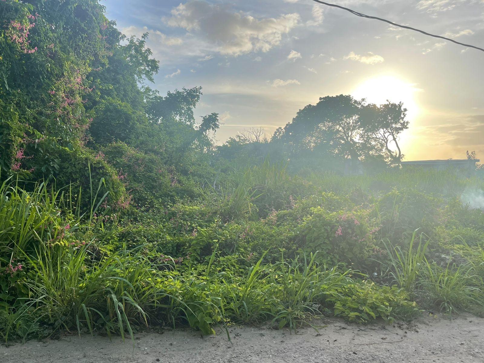 Prime-Residential-Lot-for-Sale-in-Silver-Sands-Jamaica Eighth image of 55 Winston Brown Blvd, Silve in DUNCAN BAY, Trelawny, Jamaica - property is For Sale