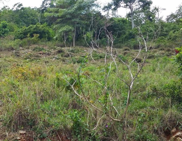 Fifth image of 13 Circinus Circle, Smokey v in Kingston 19, St. Andrew, Jamaica - property is For Sale